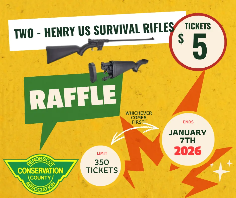 Raffle Entry - Two - Henry US Survival Rifles