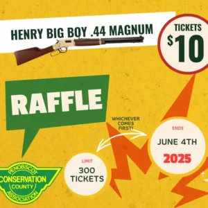 Raffle Entry - Henry Big Boy .44 Magnum