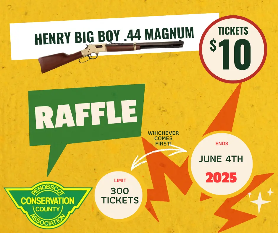 Raffle Entry - Henry Big Boy .44 Magnum